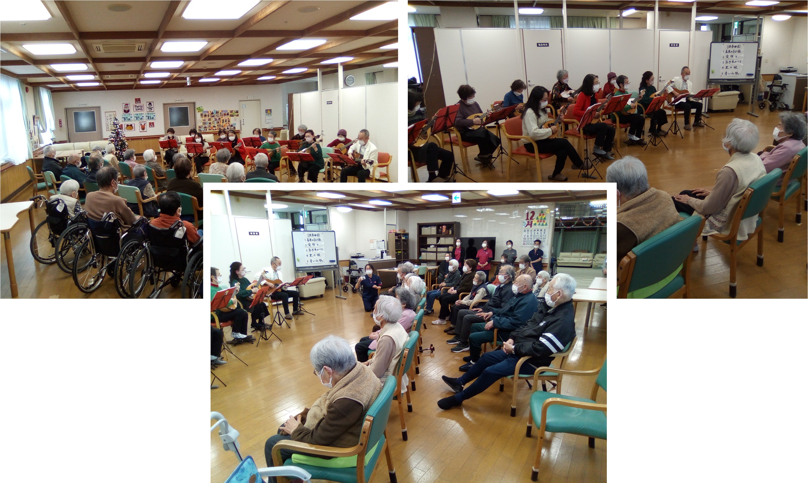 マンドリン演奏の様子